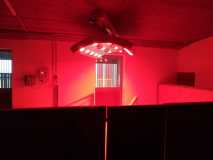 IMG-20201111-WA0008